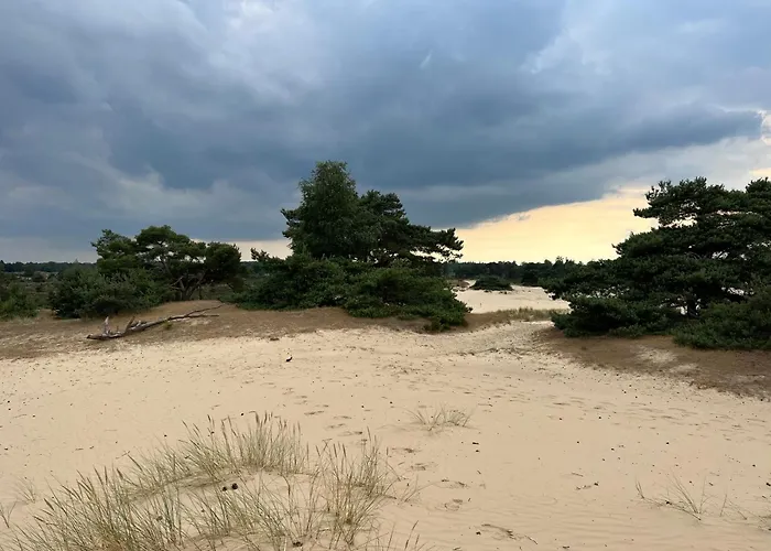 Stacaravan Aan Het “Drents Friese Wold”.