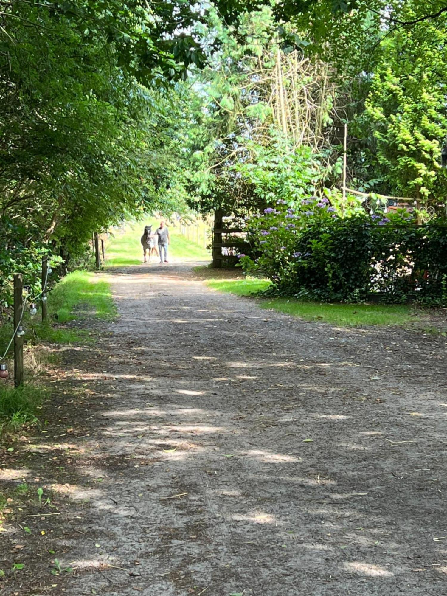 Campsite Stacaravan Aan Het “drents Friese Wold”. *